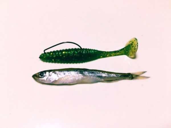 hideup ボンバー ブログ写真 2017/04/02