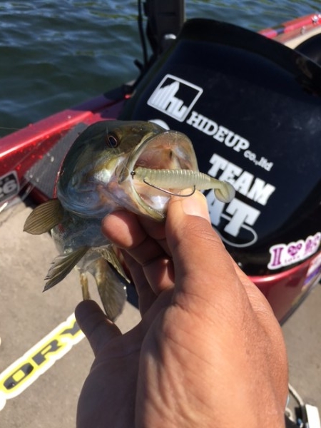 hideup ボンバー ブログ写真 2017/05/30