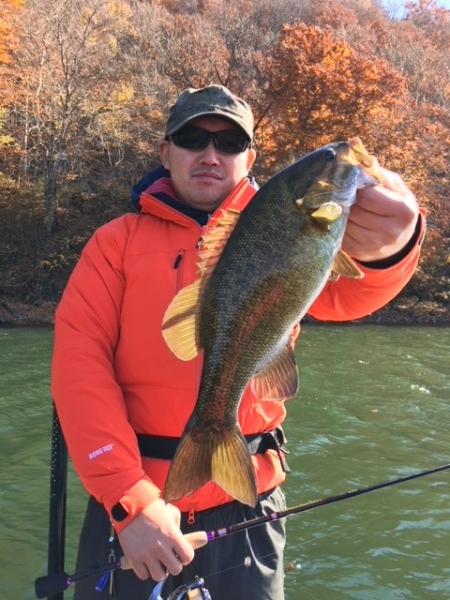 hideup ボンバー ブログ写真 2017/11/08