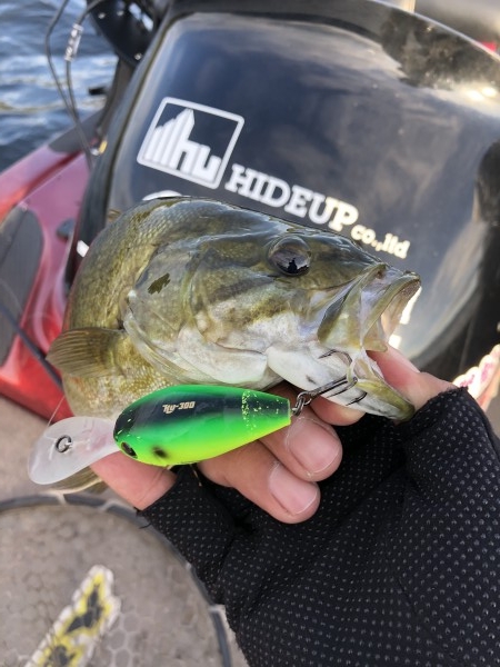 hideup ボンバー ブログ写真 2019/10/23