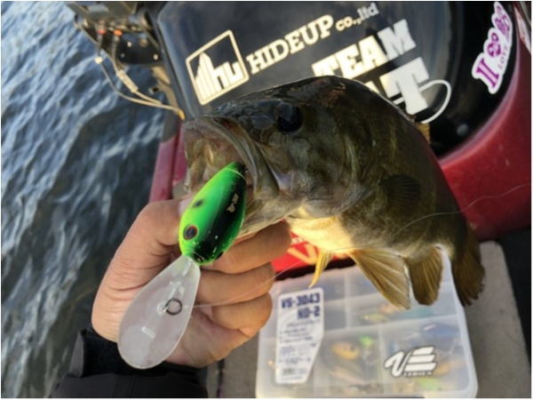 hideup ボンバー ブログ写真 2019/10/23