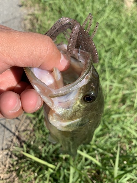 hideup 榎本英俊 ブログ写真 2019/11/02