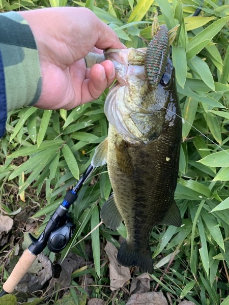 hideup 榎本英俊 ブログ写真 2019/11/02