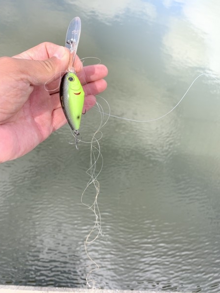 hideup 榎本英俊 ブログ写真 2019/11/04