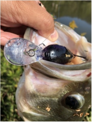 hideup 榎本英俊 ブログ写真 2019/11/09