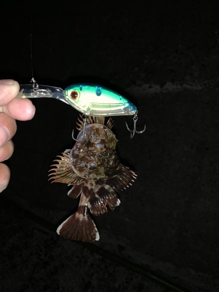 hideup 榎本英俊 ブログ写真 2019/11/10