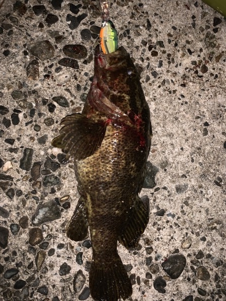 hideup 榎本英俊 ブログ写真 2019/11/10