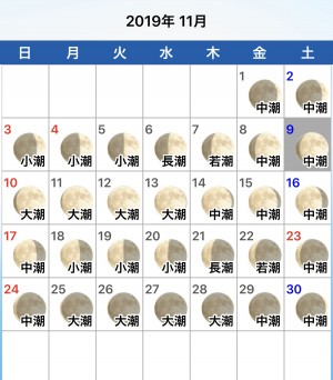 hideup 榎本英俊 ブログ写真 2019/11/10