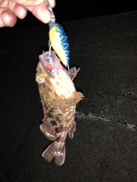 hideup 榎本英俊 ブログ写真 2019/11/10