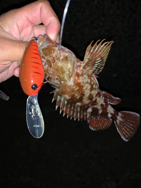 hideup 榎本英俊 ブログ写真 2019/11/11