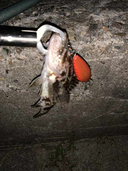 hideup 榎本英俊 ブログ写真 2019/11/11