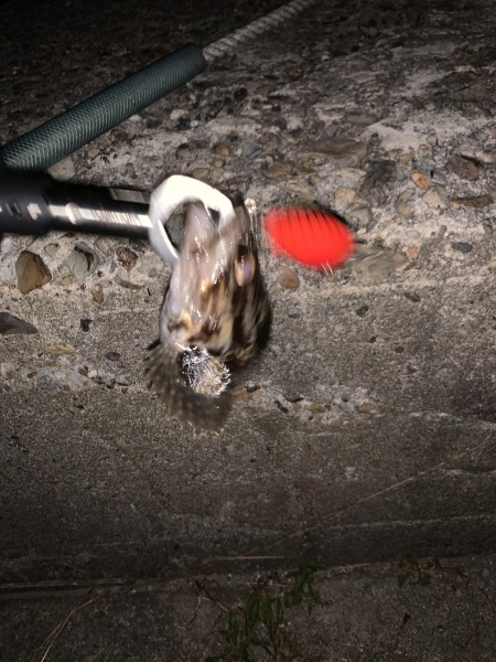 hideup 榎本英俊 ブログ写真 2019/11/13