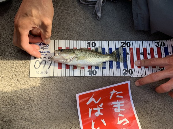 hideup 榎本英俊 ブログ写真 2019/11/16