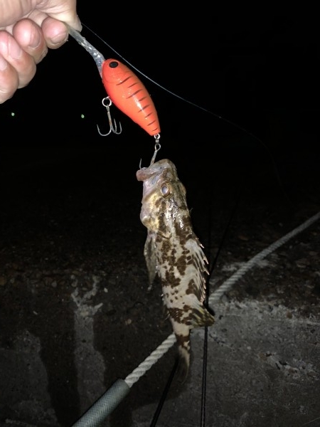 hideup 榎本英俊 ブログ写真 2019/11/18