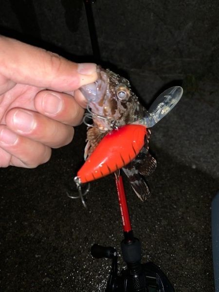 hideup 榎本英俊 ブログ写真 2019/11/18