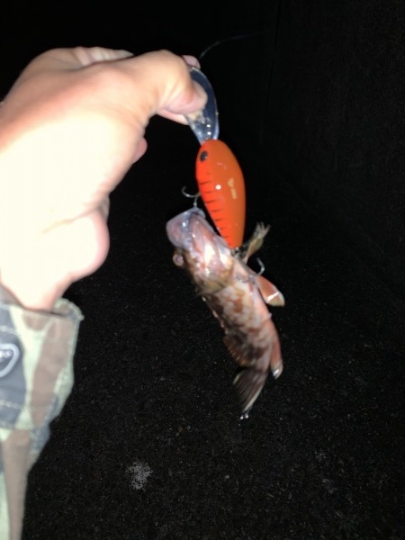 hideup 榎本英俊 ブログ写真 2019/11/19