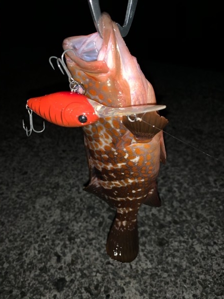 hideup 榎本英俊 ブログ写真 2019/12/04