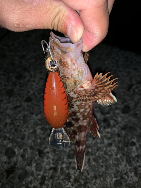 hideup 榎本英俊 ブログ写真 2019/12/04