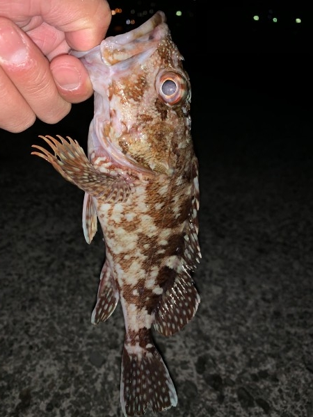 hideup 榎本英俊 ブログ写真 2019/12/07