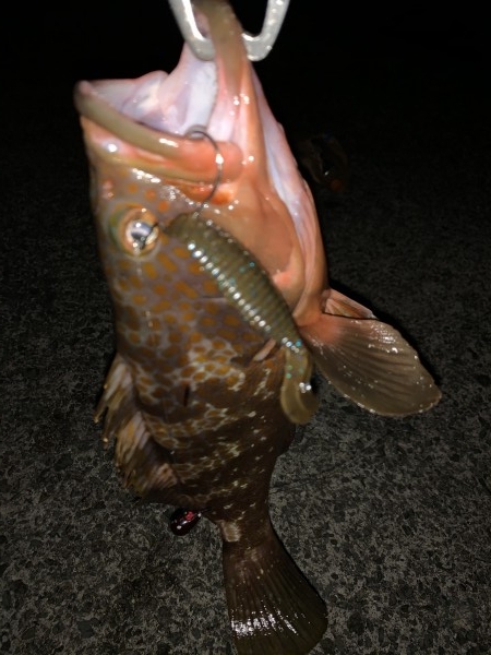 hideup 榎本英俊 ブログ写真 2019/12/07