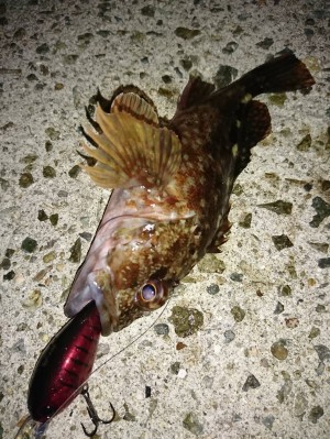 hideup 榎本英俊 ブログ写真 2019/12/10