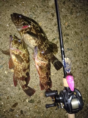 hideup 榎本英俊 ブログ写真 2019/12/10