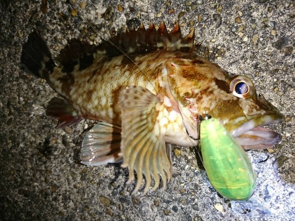 hideup 榎本英俊 ブログ写真 2019/12/10