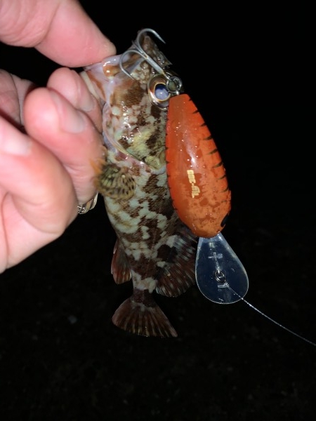 hideup 榎本英俊 ブログ写真 2019/12/12