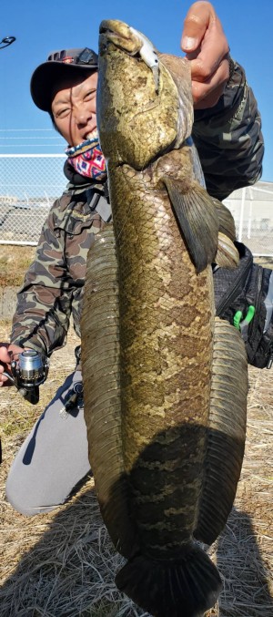 hideup 榎本英俊 ブログ写真 2019/12/15