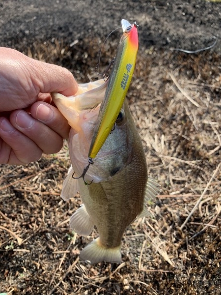 hideup 榎本英俊 ブログ写真 2020/01/02