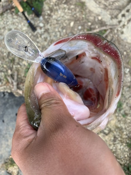 hideup 榎本英俊 ブログ写真 2020/01/03