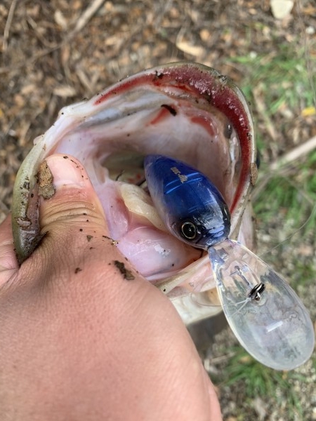 hideup 榎本英俊 ブログ写真 2020/01/03