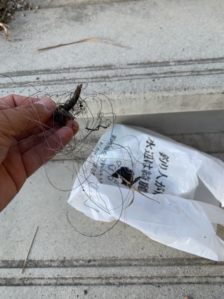 hideup 榎本英俊 ブログ写真 2020/01/11