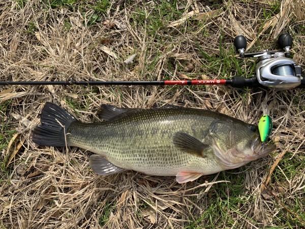 hideup 榎本英俊 ブログ写真 2020/01/11