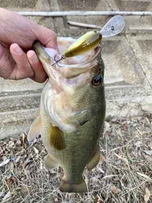 hideup 榎本英俊 ブログ写真 2020/02/03