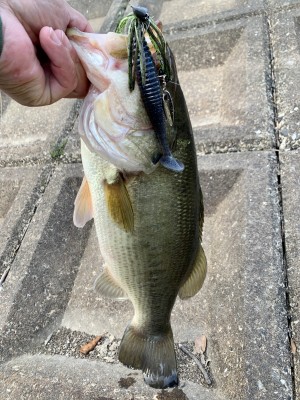 hideup 榎本英俊 ブログ写真 2020/02/03