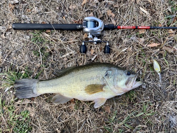 hideup 榎本英俊 ブログ写真 2020/02/03