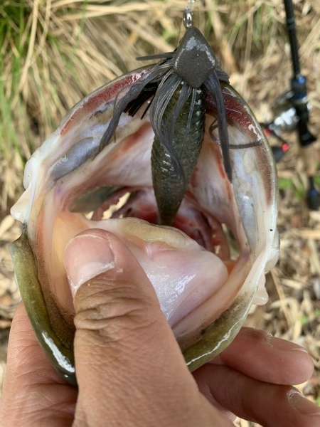 hideup 榎本英俊 ブログ写真 2020/03/01