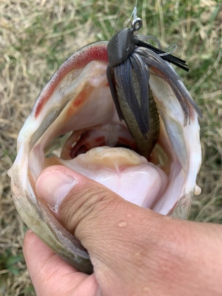 hideup 榎本英俊 ブログ写真 2020/03/01