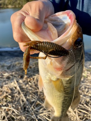 hideup 榎本英俊 ブログ写真 2020/03/06