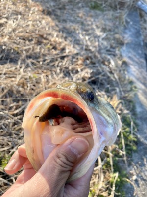 hideup 榎本英俊 ブログ写真 2020/03/06