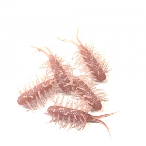 hideup 榎本英俊 ブログ写真 2020/03/10