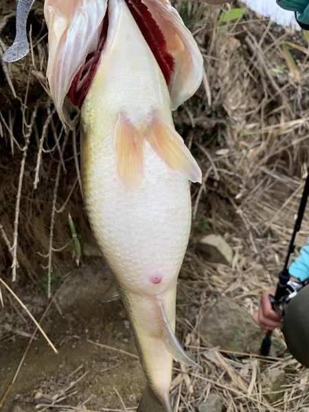 hideup 榎本英俊 ブログ写真 2020/03/15