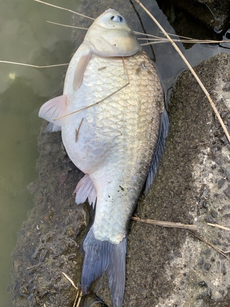 hideup 榎本英俊 ブログ写真 2020/03/15