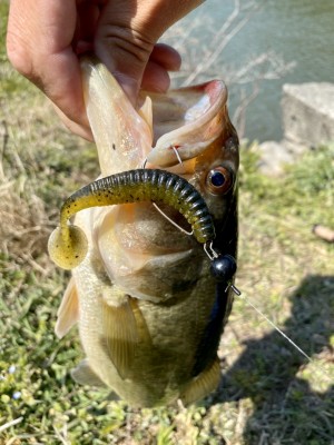 hideup 榎本英俊 ブログ写真 2020/03/17