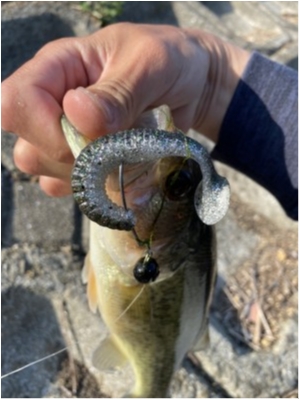 hideup 榎本英俊 ブログ写真 2020/04/02