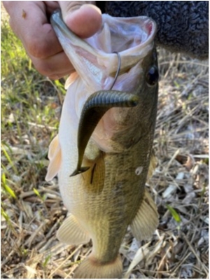 hideup 榎本英俊 ブログ写真 2020/04/05