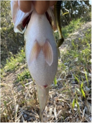 hideup 榎本英俊 ブログ写真 2020/04/05