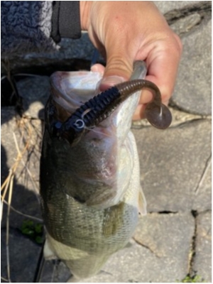 hideup 榎本英俊 ブログ写真 2020/04/05