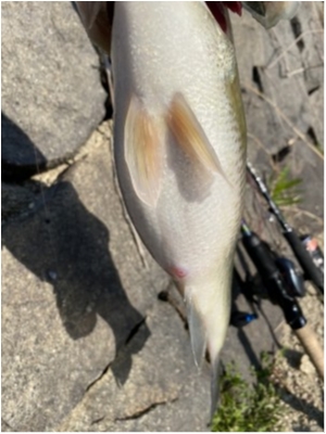 hideup 榎本英俊 ブログ写真 2020/04/05